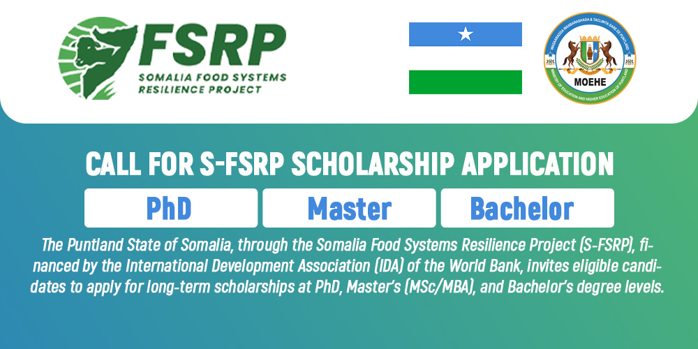 University Scholarship